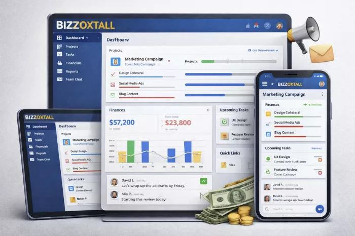 why Bizzoxtall software is needed